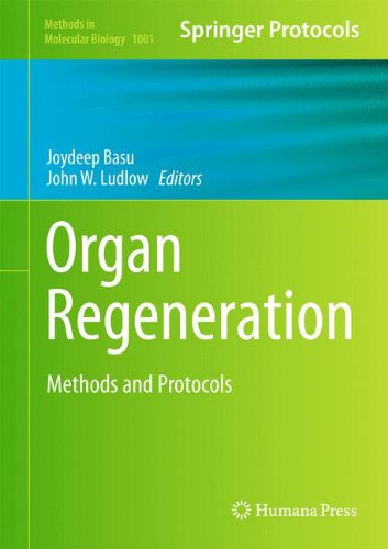 Organ Regeneration: Methods and Protocols (Methods in Molecular Biology)