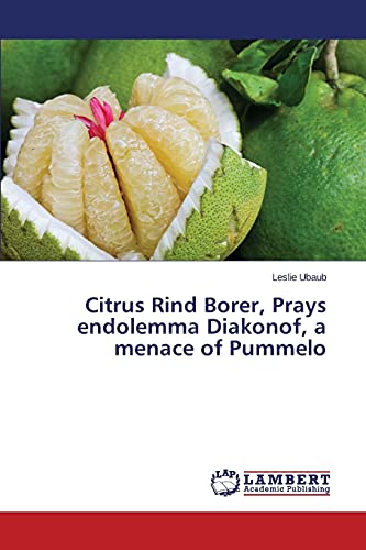 Citrus Rind Borer, Prays endolemma Diakonof, a menace of Pummelo