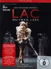 Tchaikovsky: LAC | After Swan Lake (Les Ballets de Monte-Carlo) [DVD]