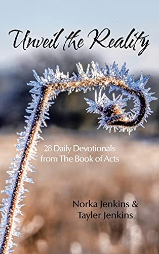Unveil the Reality: 28 Daily Devotionals from the Book of Acts
