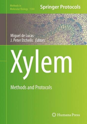Xylem: Methods and Protocols (Methods in Molecular Biology)