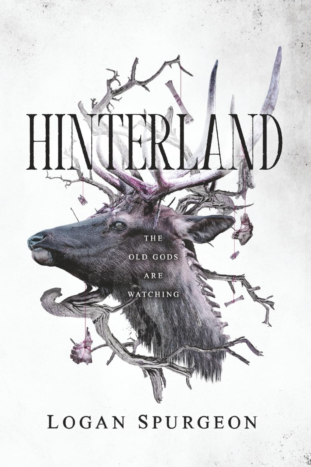Logan Spurgeon Hinterland
