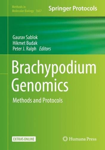 Brachypodium Genomics: Methods and Protocols (Methods in Molecular Biology, Band 1667)