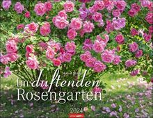 Im duftenden Rosengarten Kalender 2024