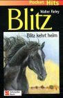 Blitz, Pocket Hits, Bd.2, Blitz kehrt heim