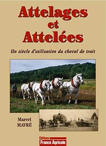 Attelages et attelées : un siècle d'utilisation du cheval de trait