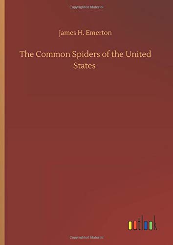 The Common Spiders of the United States