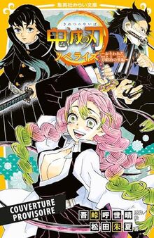 Coffret collector Demon slayer : Kimetsu no yaiba : manga tome 12 + roman tome 5