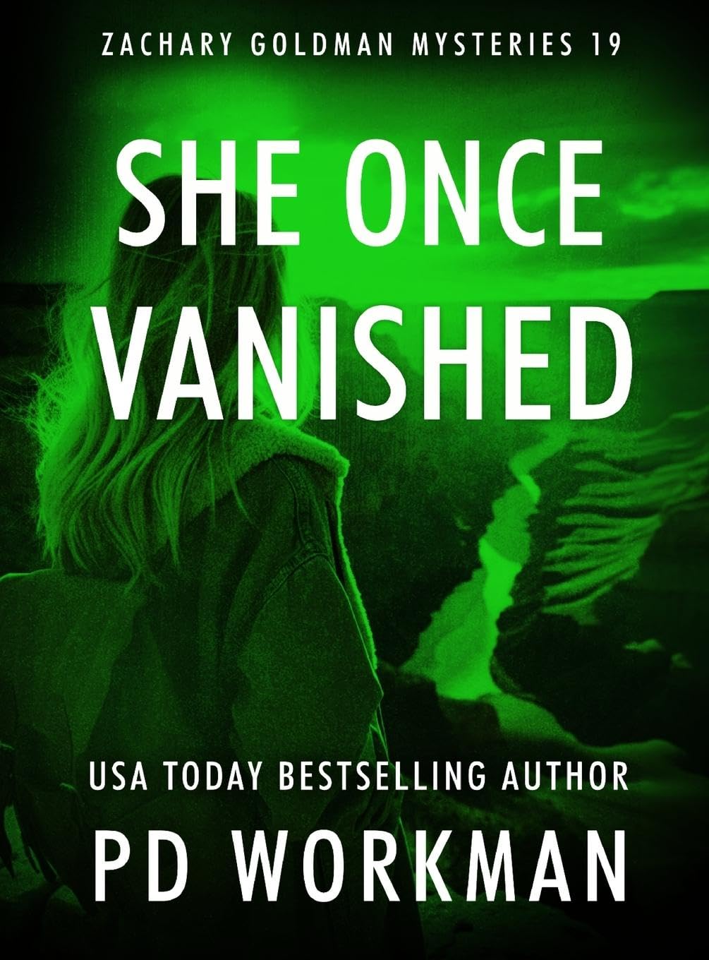 She Once Vanished (Zachary Goldman Mysteries, Band 19)