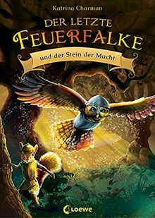 Der letzte Feuerfalke und der Stein der Macht (Band 1): Spannendes Erstlesebuch für Jungen und Mädchen ab 7 Jahre