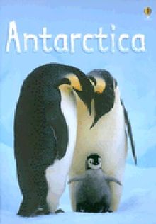 Antarctica (Usborne Beginners)