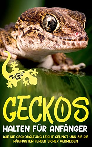 Meydorn Saskia Geckos halten für Anfänger Wie die Geckohaltung leicht gelingt und Sie die häufigsten Fehler sicher vermeiden - inkl Tipps für den Gecko Kauf