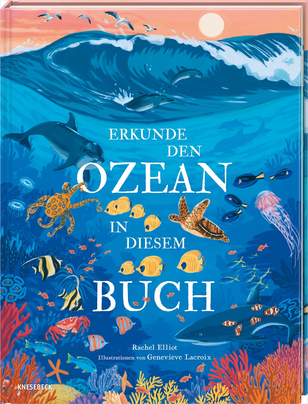 Erkunde den Ozean in diesem Buch: Kinderbuch ab 6 Jahren über Meerestiere, Wale, Haie, Korallenriffe & die faszinierende Unterwasserwelt der Ozeane