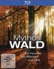 Mythos Wald [Blu-ray]