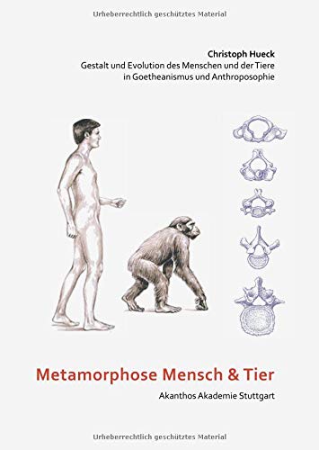 Metamorphose Mensch und Tier: Gestalt und Evolution des Menschen und der Tiere in Goetheanismus und Anthroposophie