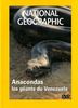 National Geographic : Anacondas, les géants du Vénézuela 