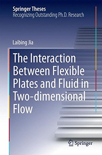 The Interaction Between Flexible Plates and Fluid in Two-dimensional Flow (Springer Theses)
