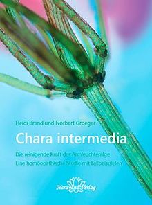 Brand, H: Chara intermedia