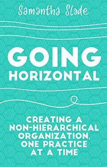 Going Horizontal: Creating a Non-Hierarchical Organization, One Practice at a Time