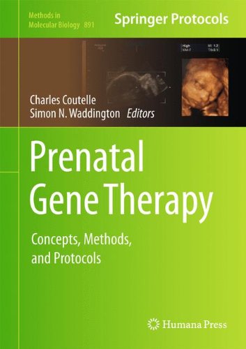 Prenatal Gene Therapy: Concepts, Methods, and Protocols (Methods in Molecular Biology)