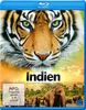 Indien - Auf den Spuren des Tigers [Blu-ray]
