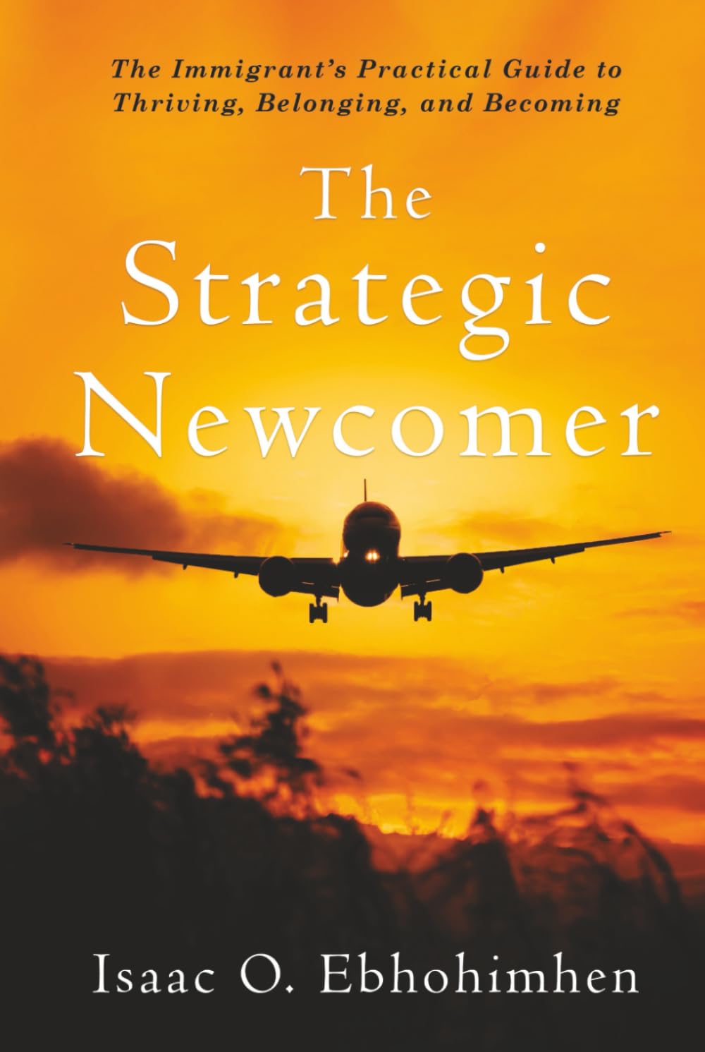 The Strategic Newcomer: The Immigrant's Practical Guide to Thriving, Belonging, and Becoming