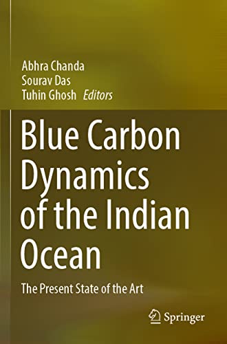 Blue Carbon Dynamics of the Indian Ocean: The Present State of the Art