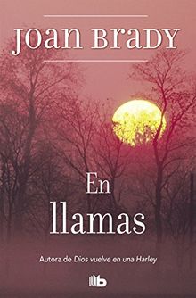 En llamas (B DE BOLSILLO, Band 603001)