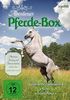 Abenteuer Pferde-Box [3 DVDs]