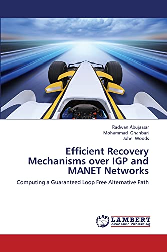 Efficient Recovery Mechanisms over IGP and MANET Networks: Computing a Guaranteed Loop Free Alternative Path