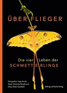 Überflieger. Die vier Leben der Schmetterlinge