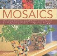 Mosaics: 20 Stunning Step-by-step Projects for the Home and Garden, Demonstrated in More Than 150 Beautiful Photographs