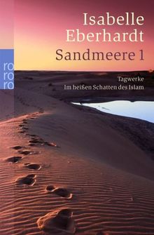 Sandmeere 1: Tagwerke. In heißen Schatten des Islams