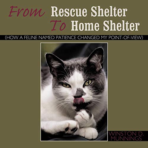 From Rescue Shelter to Home Shelter: How a Feline Named Patience Changed My Point-Of-View