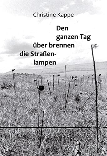 Den ganzen Tag über brennen die Straßenlampen: Gedichte (edition offenes feld)