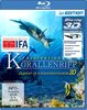 Faszination Korallenriff 3D (3D Version inkl. 2D Version & 3D Lenticular Card) [3D Blu-ray]