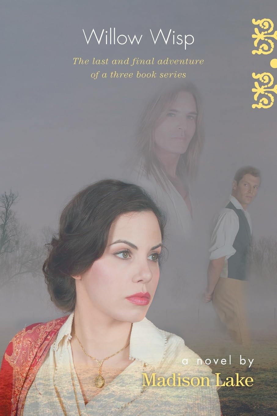 Willow Wisp: The last and final adventure of a three book series
