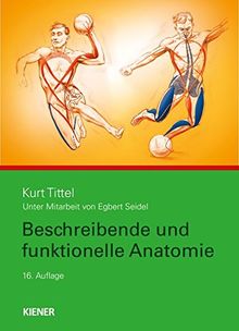 Beschreibende und funktionelle Anatomie