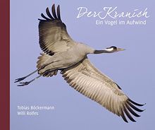 Der Kranich: Ein Vogel im Aufwind