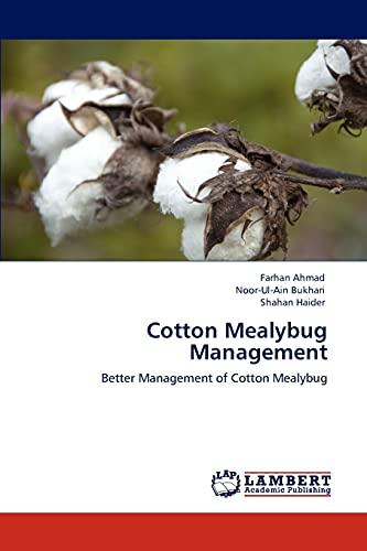 Cotton Mealybug Management: Better Management of Cotton Mealybug