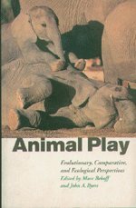 Animal Play: Evolutionary, Comparative and Ecological Perspectives