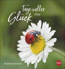 Tage voller Glück Postkartenkalender 2024