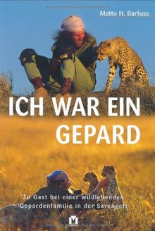 Ich war ein Gepard. Zu Gast bei einer wildlebenden Gepardenfamilie in der Serengeti von Matto Barfuss | Buch | Zustand sehr gut