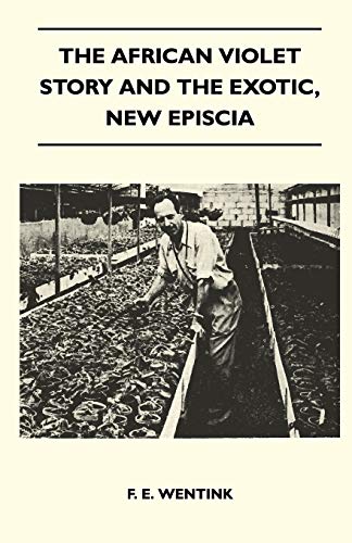The African Violet Story And The Exotic, New Episcia