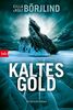 Kaltes Gold: Kriminalroman (Die Rönning/Stilton-Serie, Band 6)