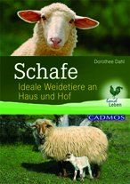 Schafe: Ideale Weidetiere an Haus und Hof