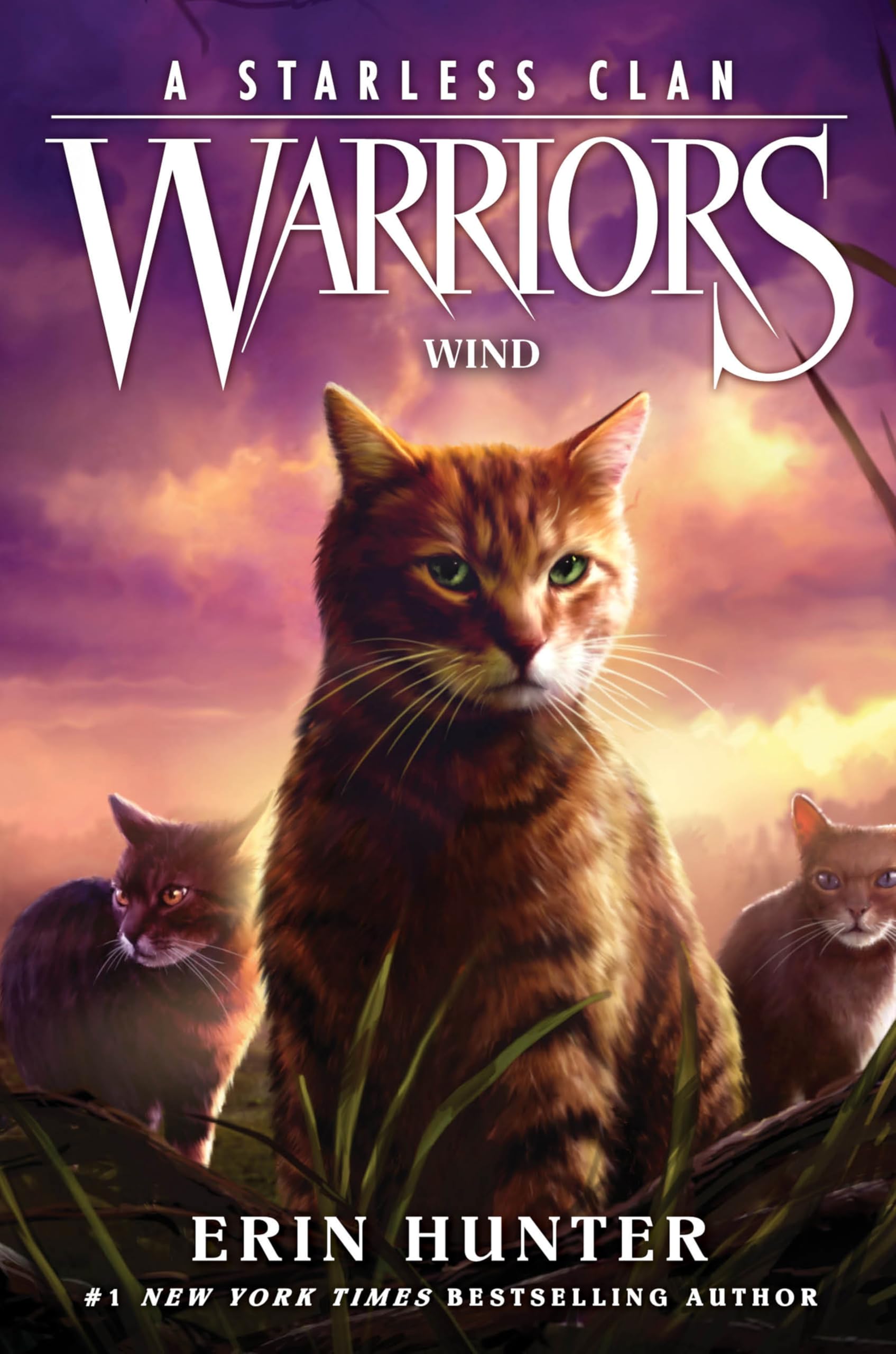 Erin Hunter Warriors, A Starless Clan #5, Wind