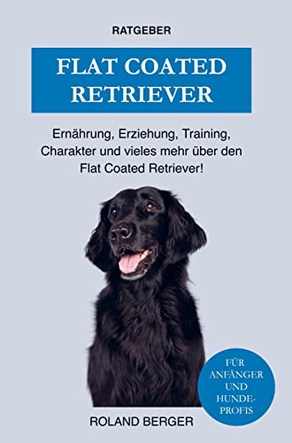 Flat Coated Retriever: Ernährung, Charakter, Erziehung, Training und einiges mehr über den Flat Coated Retriever