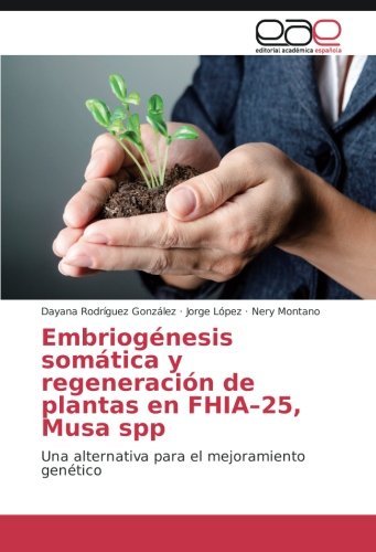 Embriogénesis somática y regeneración de plantas en FHIA–25, Musa spp: Una alternativa para el mejoramiento genético