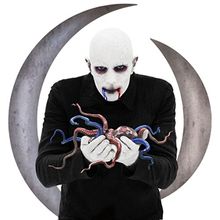 Eat the Elephant von A Perfect Circle  | CD | Zustand gut